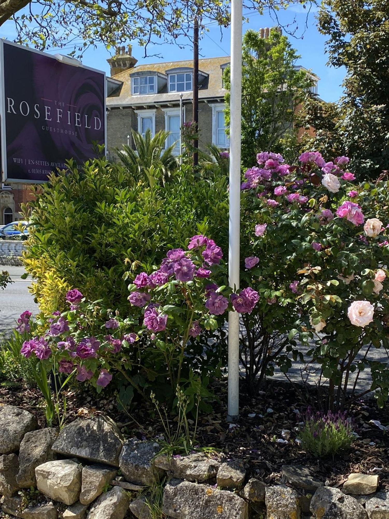 The Rosefield Hotel Weymouth Ngoại thất bức ảnh